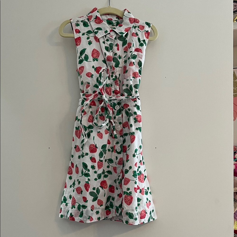 J. Crew Kids Dress - White and Red Floral